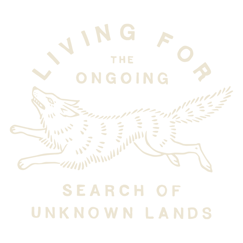 cascada lookbook 2023